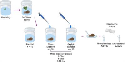 Density-Dependent Prophylaxis in Freshwater Snails Driven by Oxylipin Chemical Cues